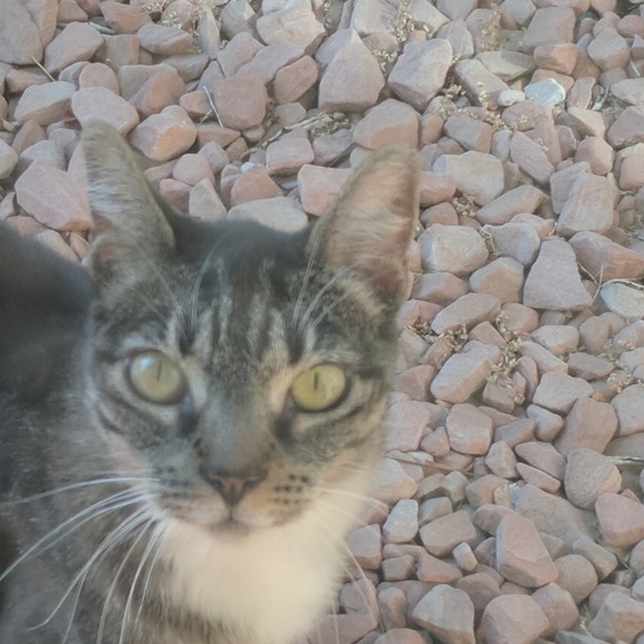 Meet your Posher, Dina - Picture 1 of 1